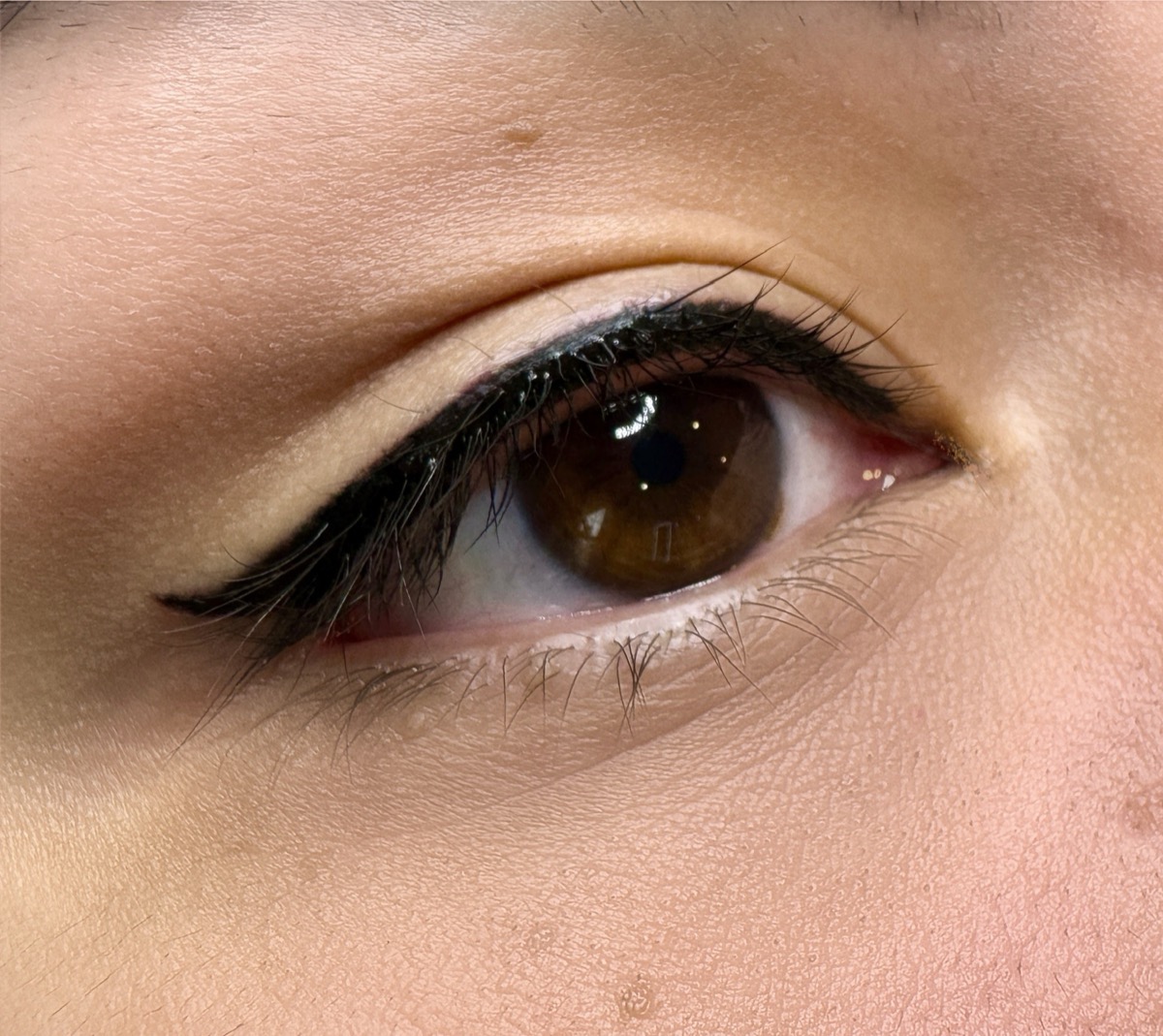 Permanent eyeliner result 4 by The Brow Babes, Louisville KY