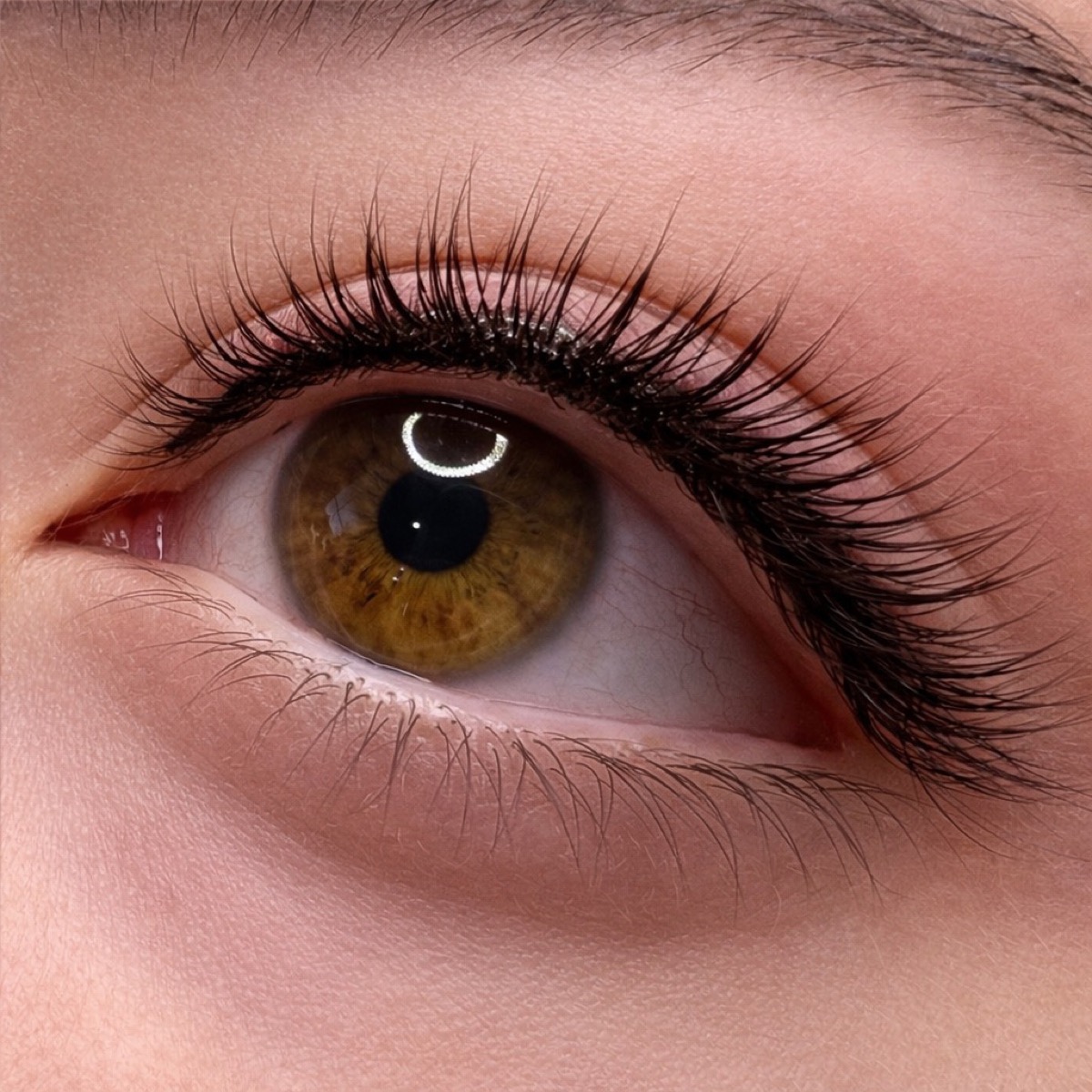 Permanent eyeliner result 16 by The Brow Babes, Louisville KY