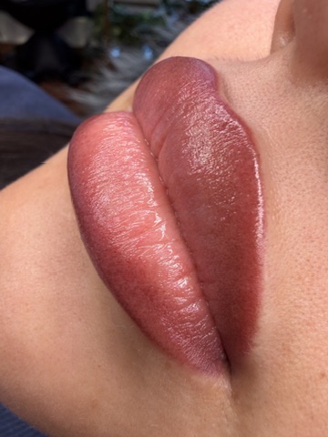 Lip blush result 18 by The Brow Babes, Louisville KY