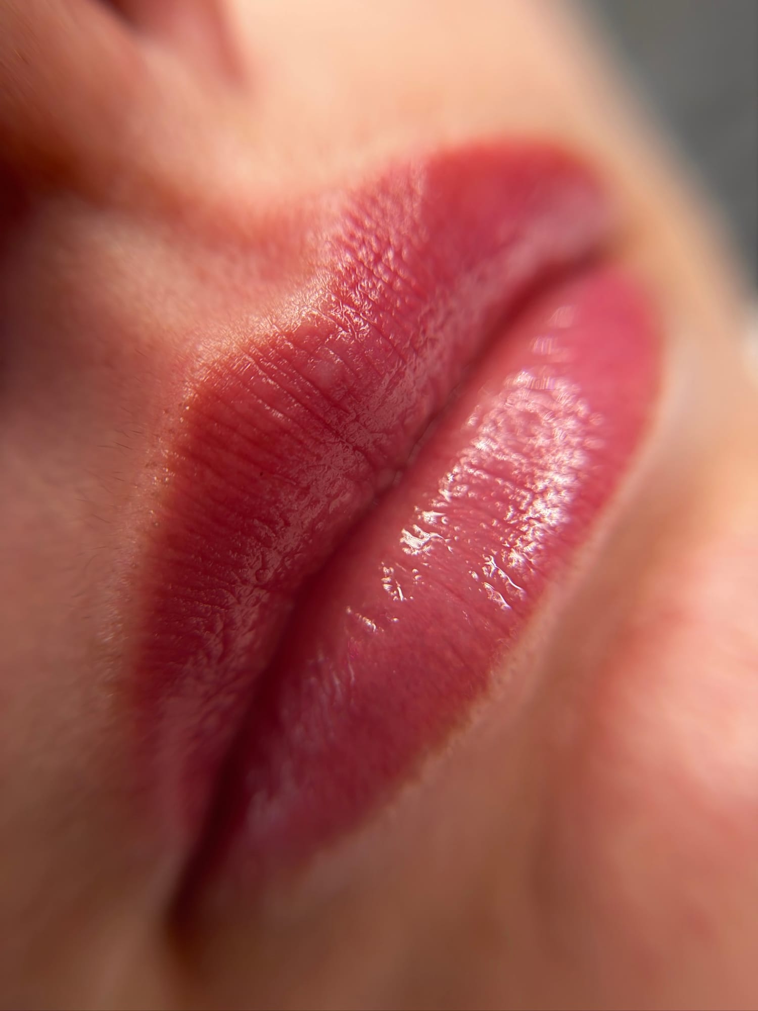 Lip tattoo Louisville — natural lip blush healed result